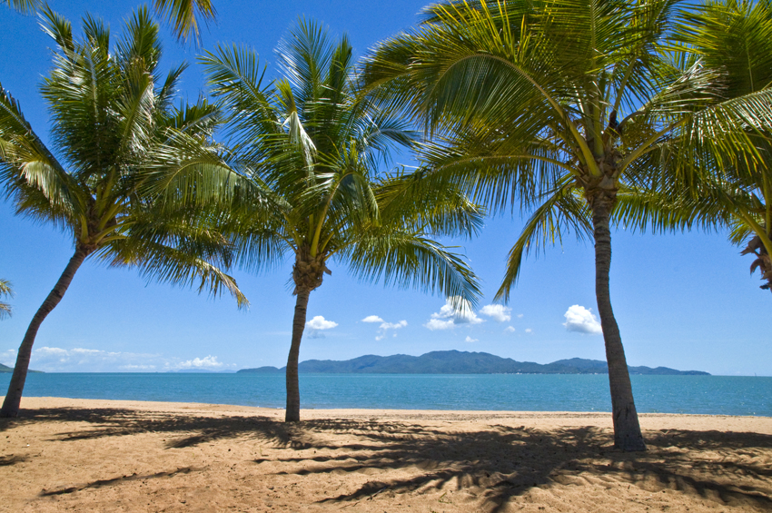Palm trees on The Strand with Magnetic Island views